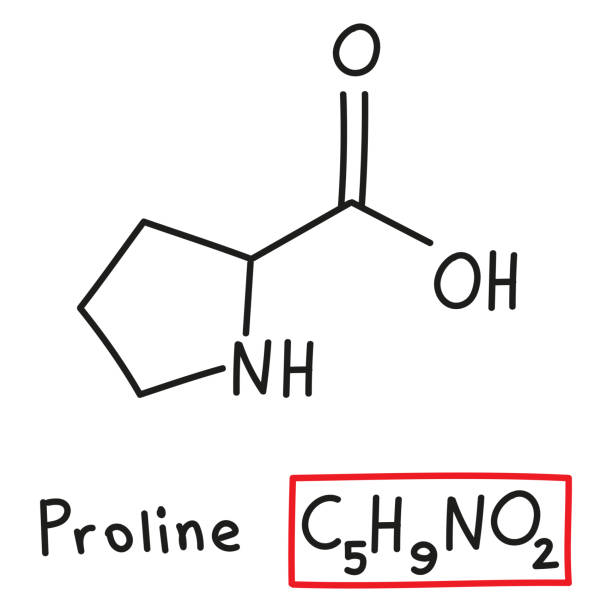 handgezeichnete chemische summenformel der aminosäure prolin im doodle-stil isoliert - oxygen amino acid periodic table carbon stock-grafiken, -clipart, -cartoons und -symbole