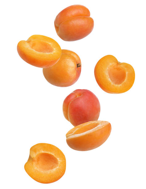 istock Cut and whole ripe apricots falling on white background 1361470597