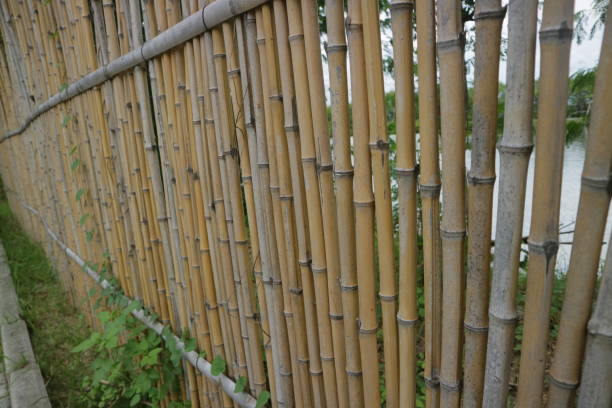 istock fence made of parallel bamboo arrangement 1361474681