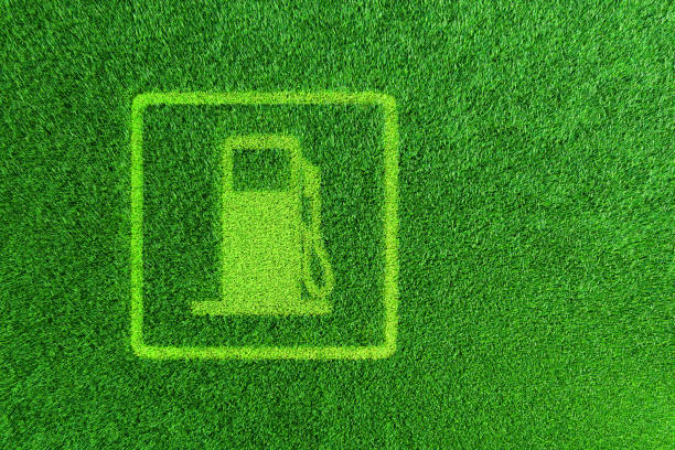 A gas station sign on the green grass. The concept of ecology and renewable energy. Green sources. Bioenergy. 3d render.