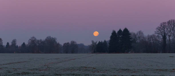 beautiful full moon sets over cold field with hoarfrost on a pink morning sky, Muensterland, Germany stock photo