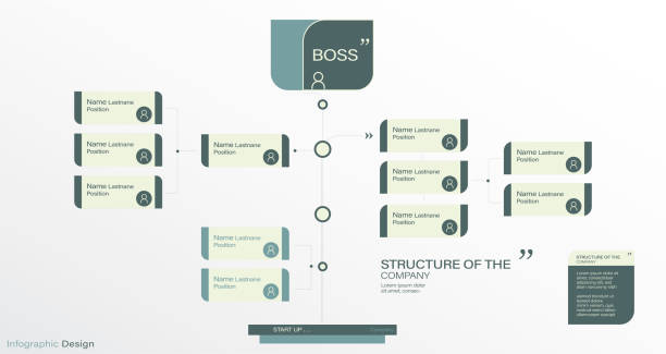 illustrazioni stock, clip art, cartoni animati e icone di tendenza di illustrazione azionaria dell'organigramma
organigramma, diagramma di flusso, business, infografica, vettoriale, infografica - organization chart