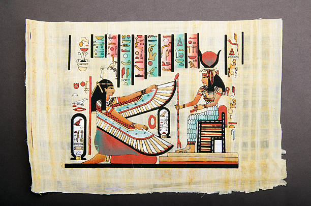 Egyptian history concept with papyrus Egyptian history concept with papyrus papyrus paper photos stock pictures, royalty-free photos & images
