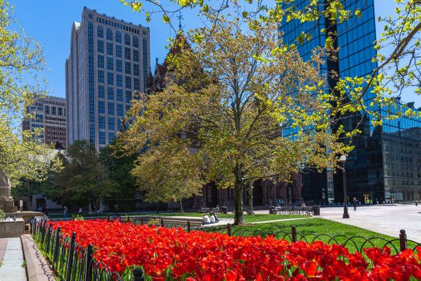 istock Blooming red tulips and a blossoming tree in Copley Square Park in May 1361477400