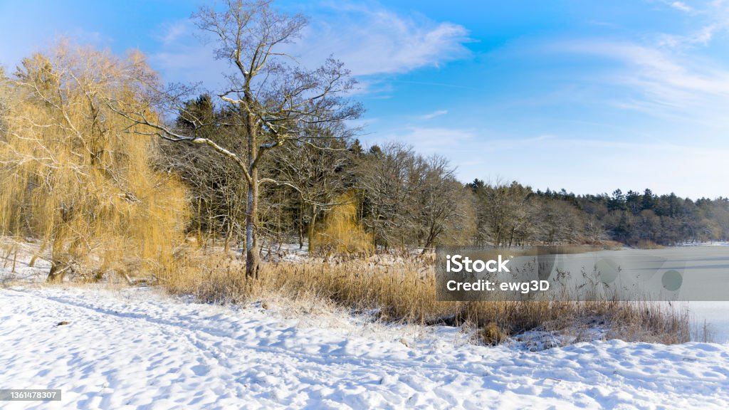 Holidays in P[oland - Winter scenery with lake in Masuria Holidays in P[oland - Winter scenery with lake in Masuria,  land of a thousand lakes Snow Stock Photo