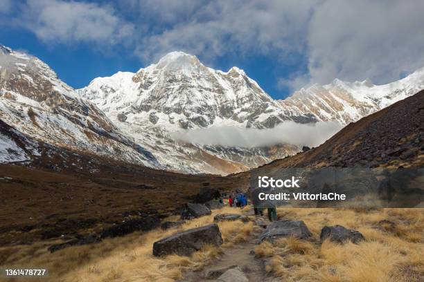 Tourists Going Up On The Way To Annapurna Base Camp Himalayas Nepal Stock Photo - Download Image Now