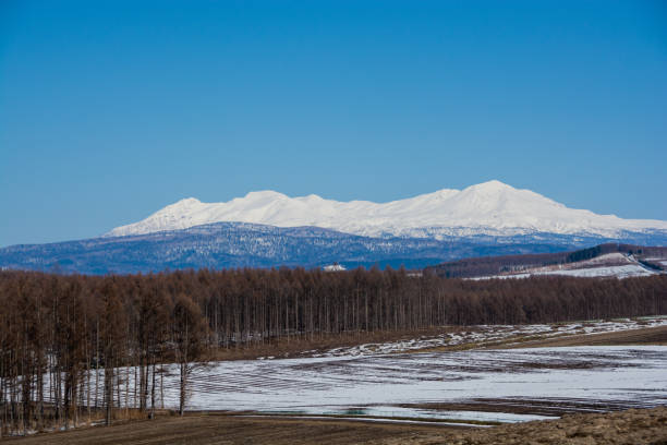 istock Upland field where snow remains and snowy mountains 1361481938