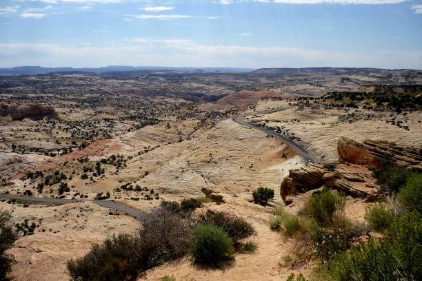 istock Vegetation in the deserts of Utah 1361481976