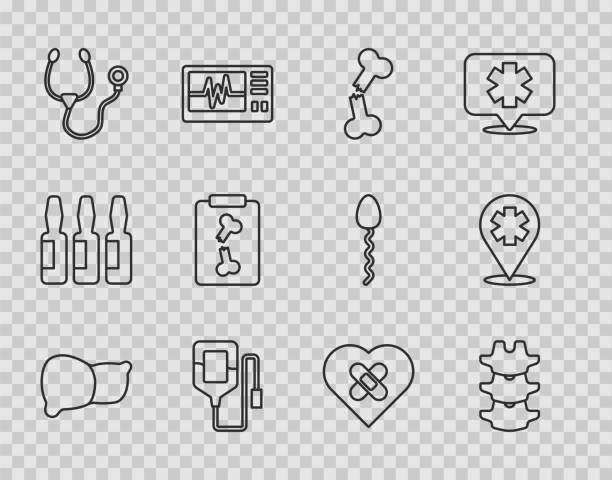 ilustraciones, imágenes clip art, dibujos animados e iconos de stock de línea de ajuste hígado de órgano humano, columna vertebral, hueso roto, bolsa intravenosa, estetoscopio, inyecciones de rayos x, corazón curado y ubicación con icono de hospital cruzado. vector - healthcare and medicine the human body x ray image human bone