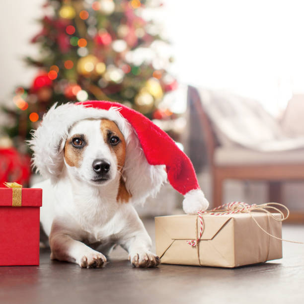 istock Dog near christmas tree 1361487031