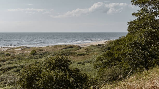 istock Panoramic landscape with coast and sea 1361488520