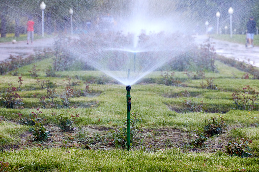 sprinkler systems spraying water for watering lawns and flower beds in city park