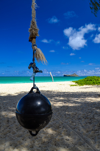 buoy swing on waimanalo beach Oahu hawaii