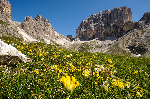 Hiking to the Antermoia, over 3000 mt height