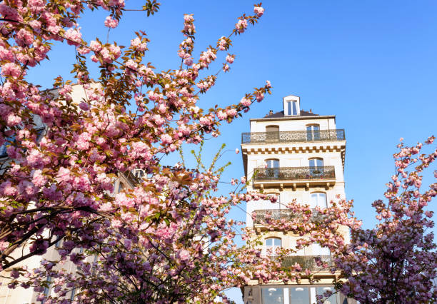 Hhistoric Marais district in the 4th arrondissement of Paris