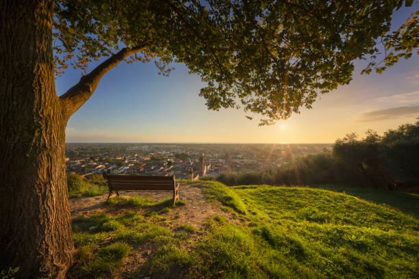 Tree, bench and Pietrasanta aerial view at sunset, Versilia, Lucca, Tuscany, Italy Tree, bench and Pietrasanta aerial view from Rocca di Sala fortress at sunset. Versilia Lucca, Tuscany region, Italy, Europe lucca italy stock pictures, royalty-free photos & images