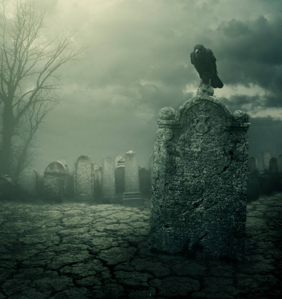tombstone - gothic style horror cemetery spooky stock-fotos und bilder