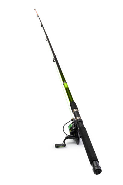 istock Spinning rod for fishing 1361509315