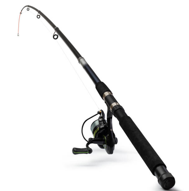 istock Spinning rod for fishing 1361509316