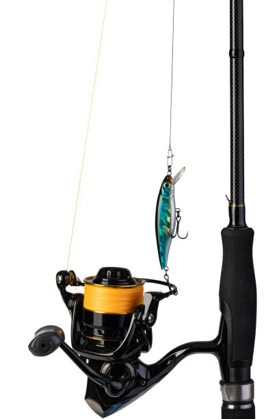 istock Spinning rod, reel and fishing baits 1361509329