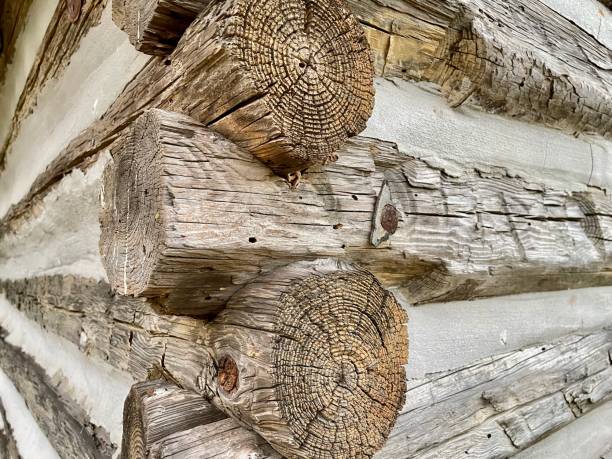istock Log Cabin - Logs and Chinking - Timber Exterior 1361510233