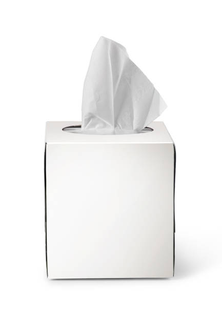 istock Paper Napkin 1361510436