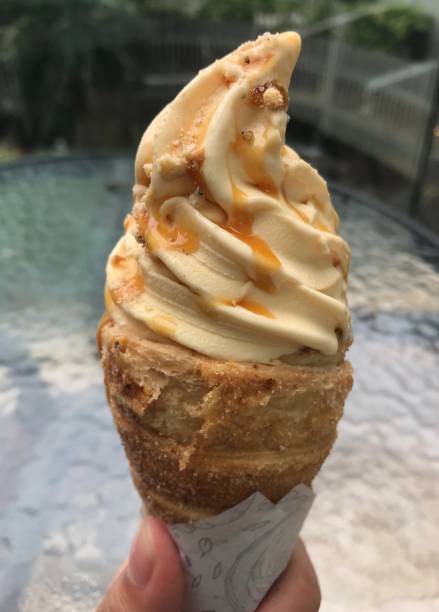 istock Creme brule cannoli ice cream 1361512480