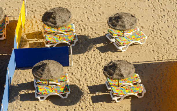 istock Beautiful sandy beach with palm tree umbrellas and sun loungers 1361512509