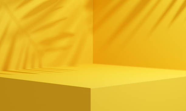 Photo of Yellow background studio interior room with tropical palm shadow. Minimalist summer product stage platform mock up. 3d render of square empty space with plant shade for product placement.