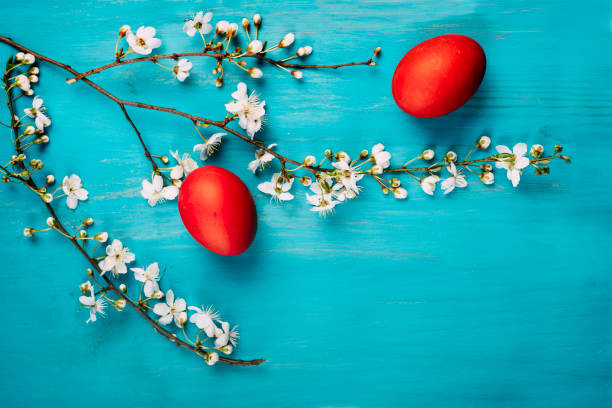red easter eggs and spring flower blossom decor on grunge wooden table from above. colorful bright easter holiday greeting card. top view of traditional painted easter eggs on vintage blue background. still life flat lay. - easter eggs red imagens e fotografias de stock