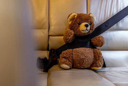Teddy bear sitting in a car fastened with a seat belt