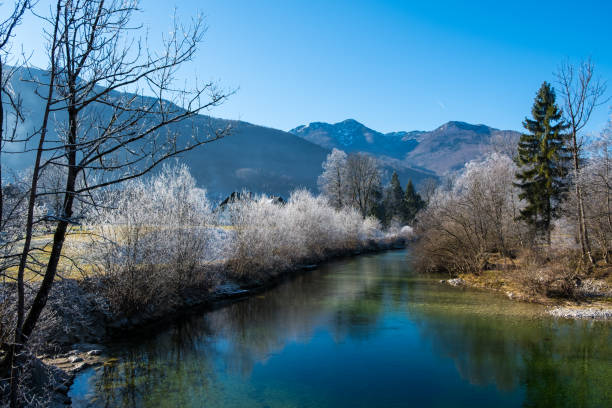 istock Winter morning in the mountains 1361518482