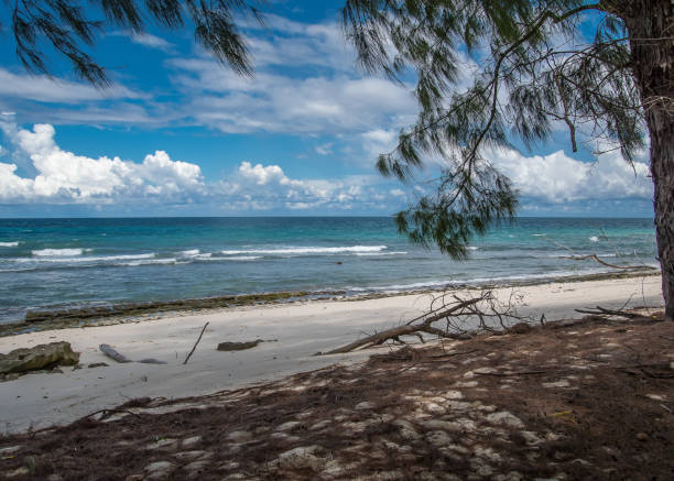 istock Seychelle Islands Panorama 1361531207