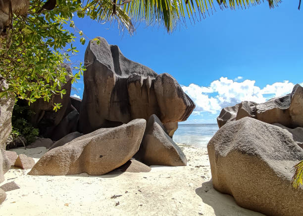 istock Seychelle Islands Panorama 1361535615