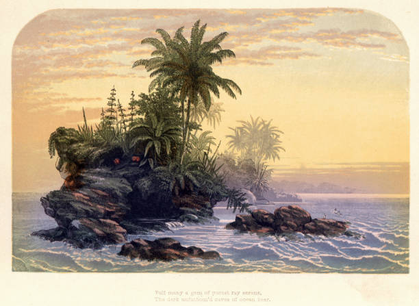 stockillustraties, clipart, cartoons en iconen met sunset and tropical islands, palms and ferns, paradise, victorian landscape art, 19th century - onbewoond eiland