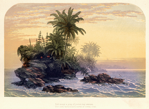 Vintage illustration Sunset and tropical islands, palms and ferns, Victorian English art, 19th Century.  Full manu a gem of purest ray serene, The dark unfathom'd caves ocean bear
