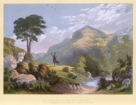 Vintage illustration Stag, Monarch of the glen, King of the Wild, Victorian landscape art, 19th Century.  Hail, king of the wild, whom nature hath borne, O'er a hundred hill tops since the mists of the morn