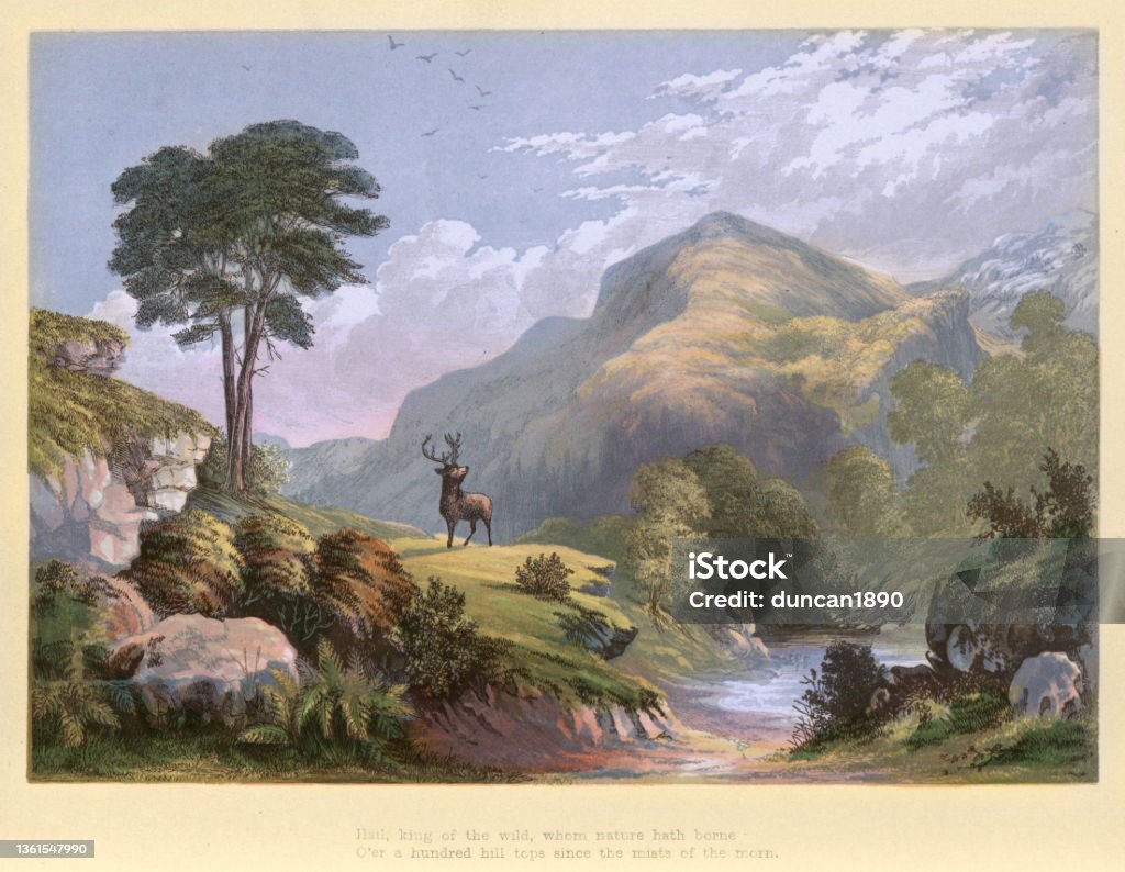 Stag, Monarch of the glen, King of the Wild, Victorian landscape art, 19th Century Vintage illustration Stag, Monarch of the glen, King of the Wild, Victorian landscape art, 19th Century.  Hail, king of the wild, whom nature hath borne, O'er a hundred hill tops since the mists of the morn Painting - Art Product stock illustration