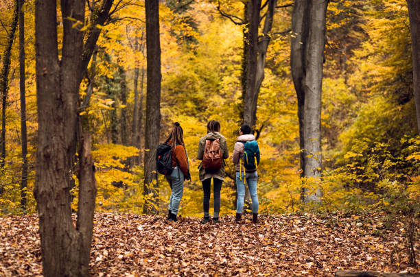 Three female friends having fun and enjoying hiking in forest.