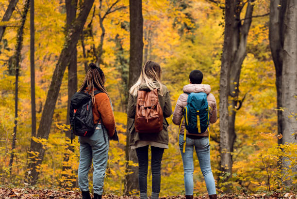 istock Three female friends having fun and enjoying hiking in forest. 1361550721