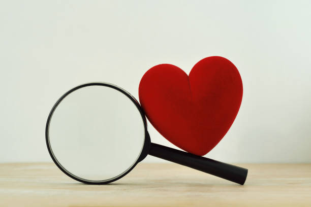 Heart with magnifying glass - Concept of searching love stock photo