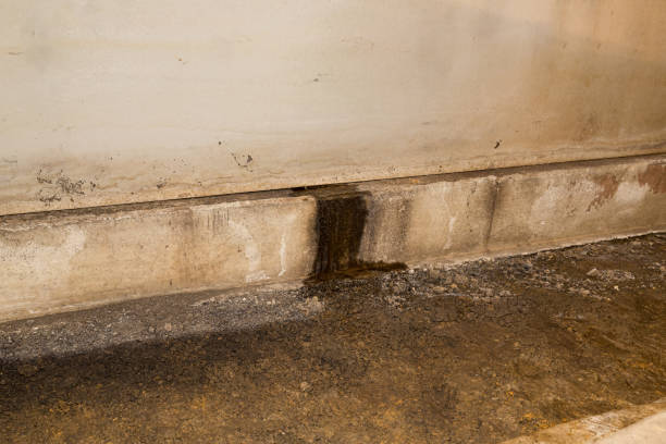 家のクロールスペースで基礎壁を通って漏れる水。家の修理、地下防水およびカビの損傷の概念。 - leaky basement ストックフォトと画像