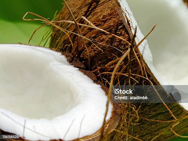 Coco - Fotografias de stock e mais imagens de Branco - Branco, Castanho, Coco