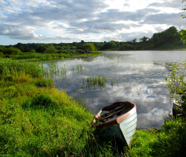 Lough shore in County Monaghan, Ireland