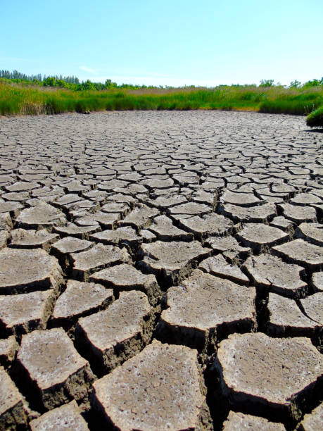 istock Salt marsh at Turvey Nature Reserve, County Dublin, Ireland 1361572183