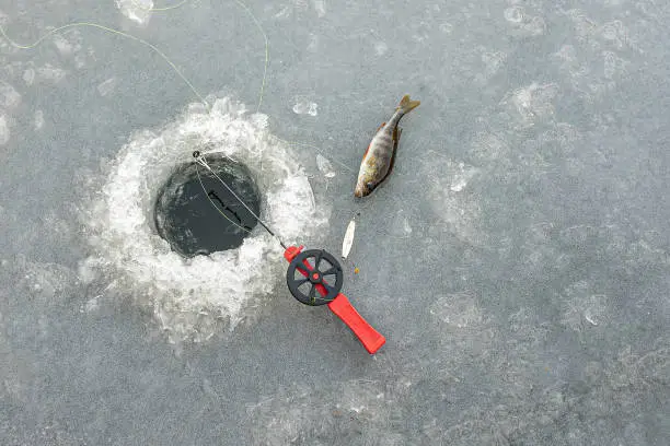 red fishingrod and a silver lure next to a hole in the ice and a perch, Zealand, Denmark, Januar 27, 2021