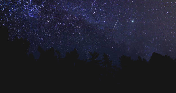istock Tree silhouettes with starry twinkling sky and falling stars. 1361580396