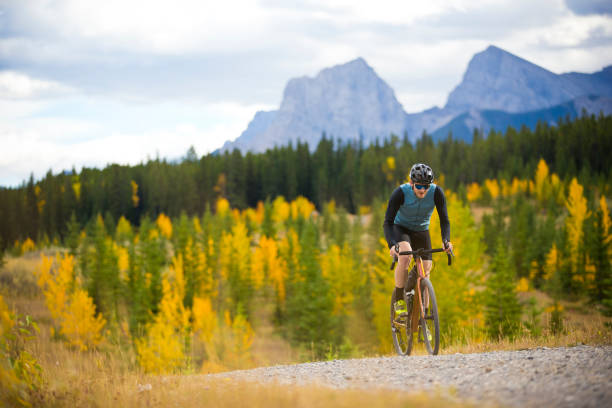 istock Gravel Road Bicycle Ride 1361583396