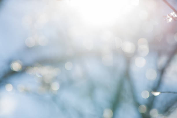 istock Blurred background, light on plants on a sunny day. 1361586104