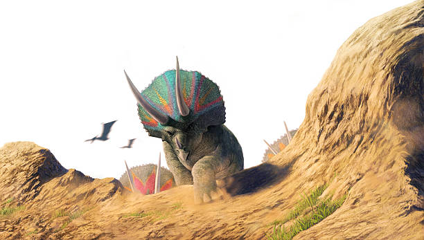 Triceratops are moving on new place Triceratops are moving on new place. ornithischia stock illustrations